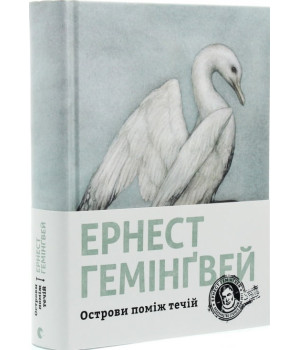 Острови поміж течій
