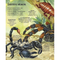 Велика книга комах і не тільки