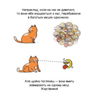 Квантова фізика