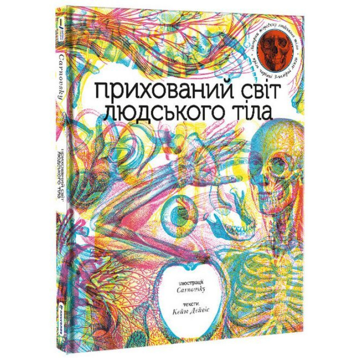 Прихований світ людського тіла