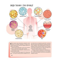 Дитяча ілюстрована енциклопедія. Тіло людини