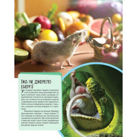 Дитяча ілюстрована енциклопедія. Тварини