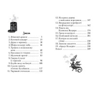 Чарівне взуття від Ліллі. Книга 3. На крилах мрій