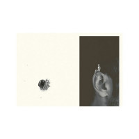 Лексикон таємних знань