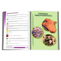 Гриби України. Атлас-довідник (2-е видання)