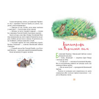 Казки Чарівного лісу (літня)