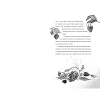 Хлопчик, який співав з драконами. Книга 5