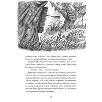 Сага про Літокрилів. Книга 2. Шлях на північ