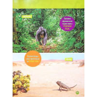 National Geographic Kids. Гррр! 100 цікавих фактів про тварин Африки