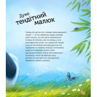 Наймиліші малюки тварин
