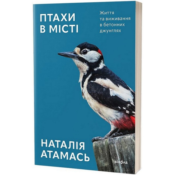 Птахи в місті. Життя та виживання в бетонних джунглях
