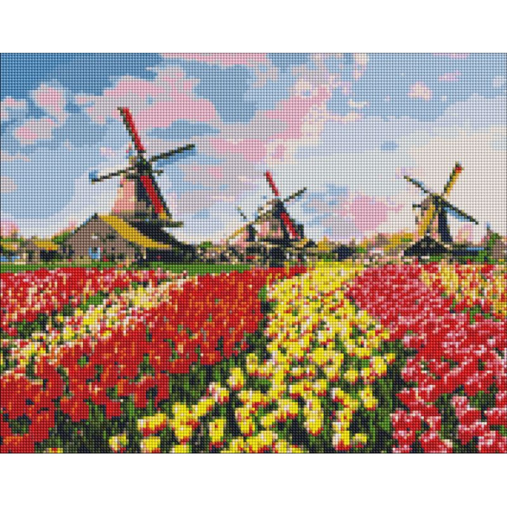Алмазна мозаїка - Барвисті тюльпани Голандії