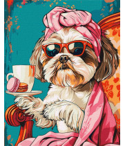 Розпис по номерах Грайливе ші-тсу