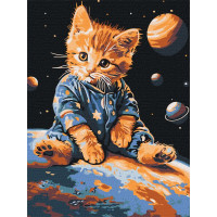 Розпис по номерах Зоряний котик