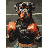 Розпис по номерах Рингова сила