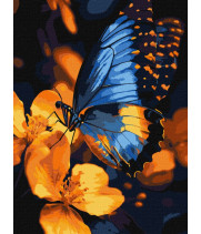 Картина за номерами - Мерехтіння крил