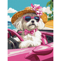 Картина за номерами - Рожева машина