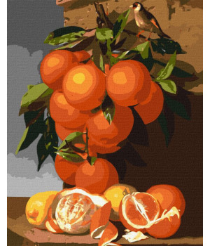Апельсини та лимони ©Antonio Mensaque