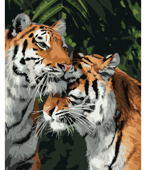 Тигрове кохання