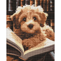 Алмазна мозаїка - Пухнастий читач