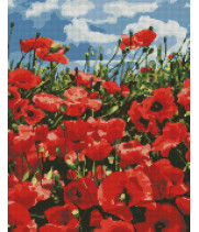 Алмазна мозаїка - Дивовижні маки