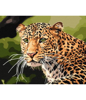 Картина за номерами - Зеленоокий леопард