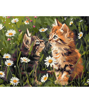 Картина за номерами - Котики у квітах ©art_selena_ua