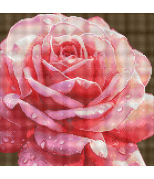 Алмазна мозаїка - Досконала троянда