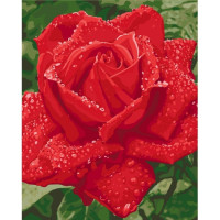 Картина по номерам - Ніжність троянди (КНО3045)