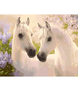 Картина по номерам - Пара коней (КНО2433)