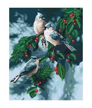 Картина за номерами - Зимові пташки (КНО4081)