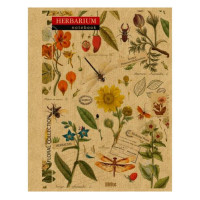 Зошит КРАФТ 