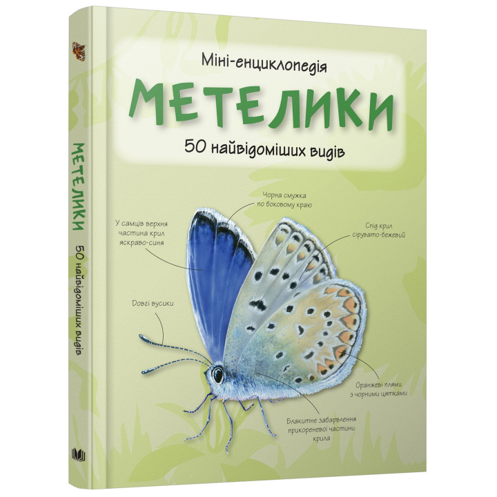 Метелики. 50 найвідоміших видів: міні-енциклопедія.