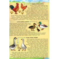 Енциклопедія з наліпками.Свійські тварини