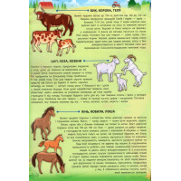 Енциклопедія з наліпками.Свійські тварини