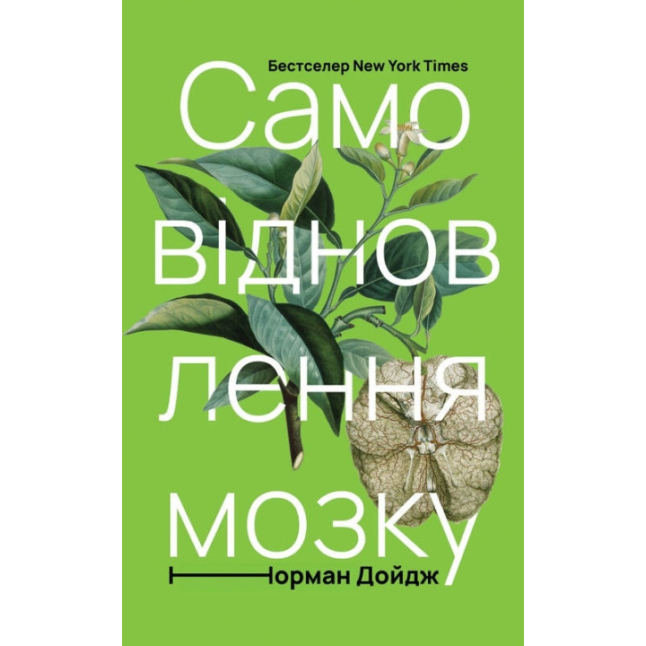 Самовідновлення мозку