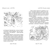 Лебединий палац. Книжка 14
