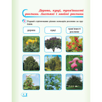 НУШ 1 кл. Я досл. світ. Роб.зошит Ч.2 (у 2-х ч.) (Укр) до підр. Гільберг Т.В. та ін  ДИДАКТА