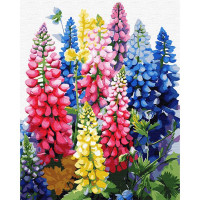 Розпис по номерах. SANTI 954768 Квіти літа  40х50