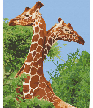 Картина за номерами Пара жирафів 40х50 см 11613-AC